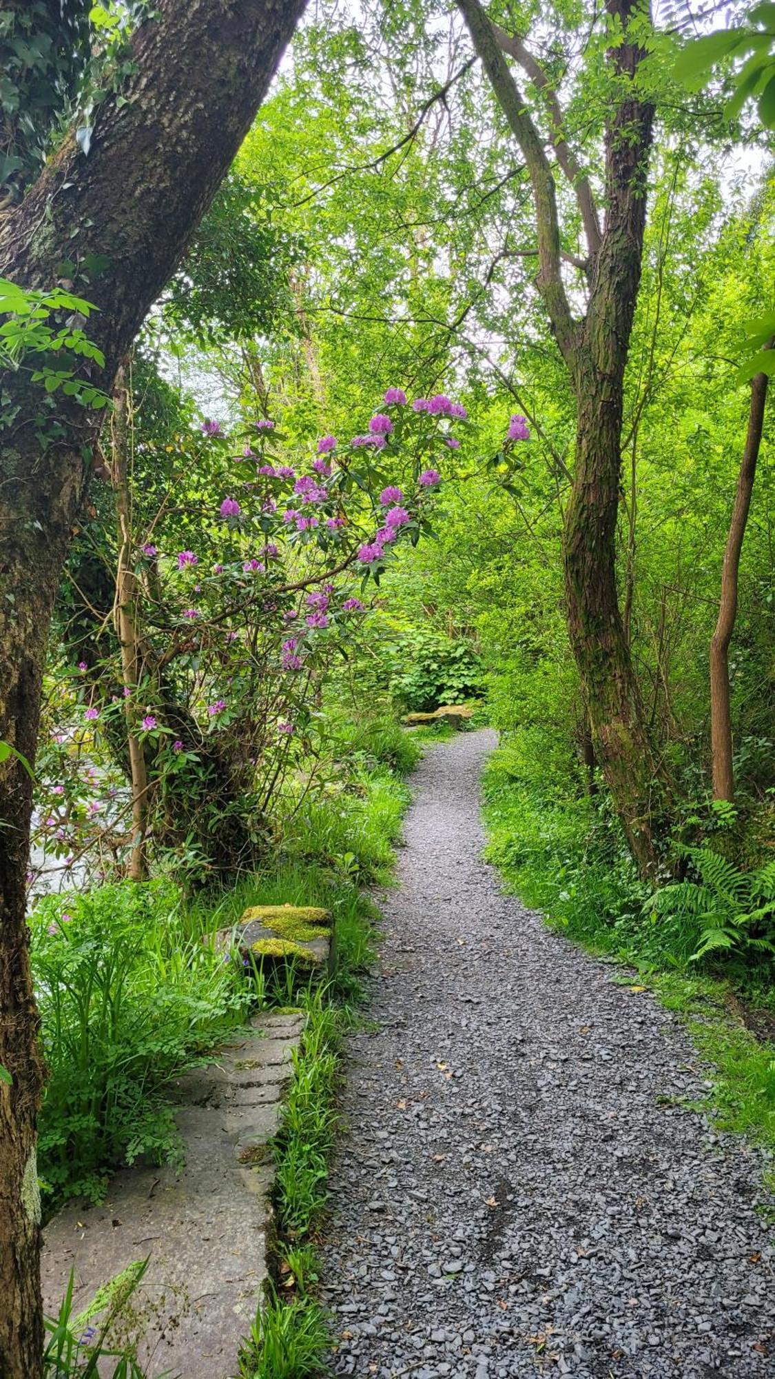The Granary Corris On The Edge Of The Dyfi Forest Exterior foto